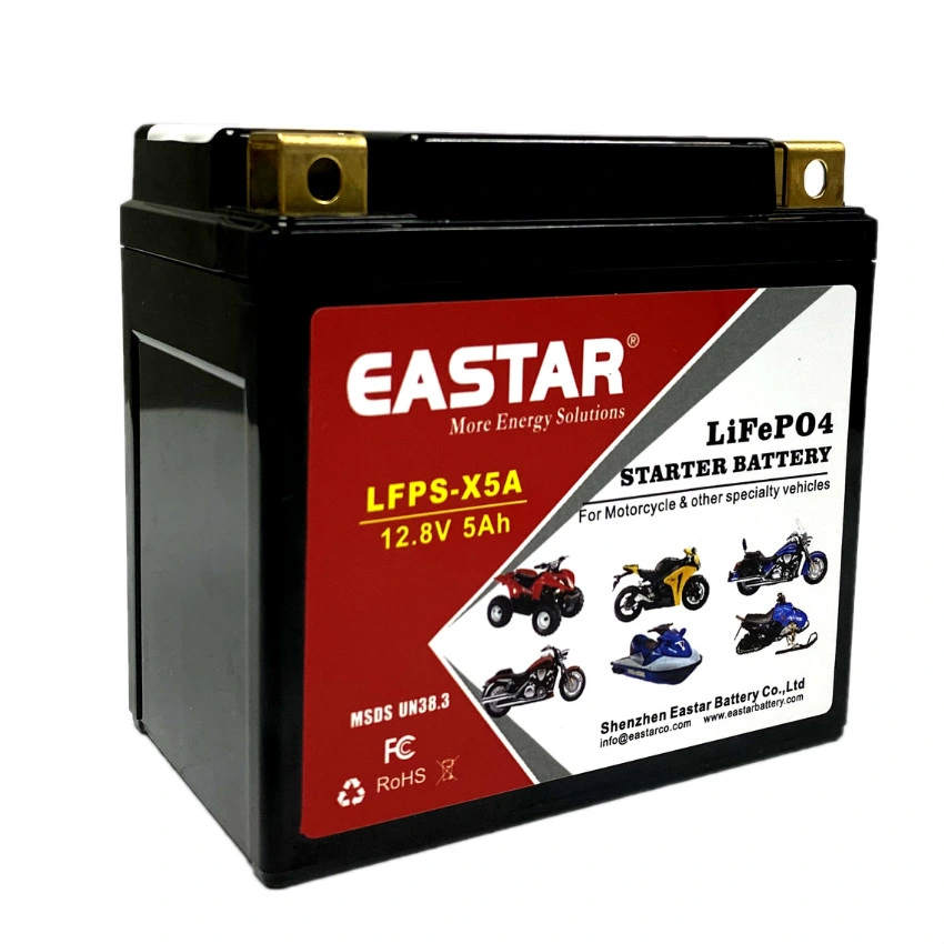 Wholesales 12V 5ah LiFePO4 Battery Pack for UPS/ Solar Energy Storage