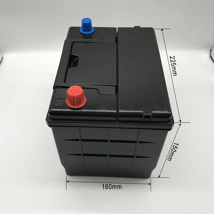 Customized High Capacity Lithium in Battery Pack 12V 40ah 60ah 80ah 100ah LiFePO4 Battery for EV/UPS