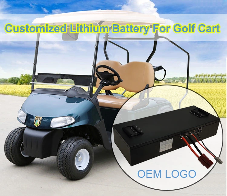 Customized LiFePO4 Electronic Car Battery 96V 72V 100ah Lithium Battery Pack for Low Speed Vehicle