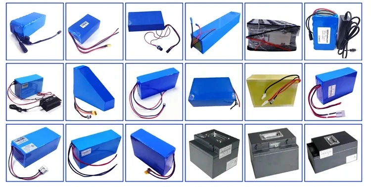 Rechargeable 18650 21700 12V 24V 36V 48V 10ah 20ah 30ah 40ah LiFePO4 Lithium Ion Battery Pack