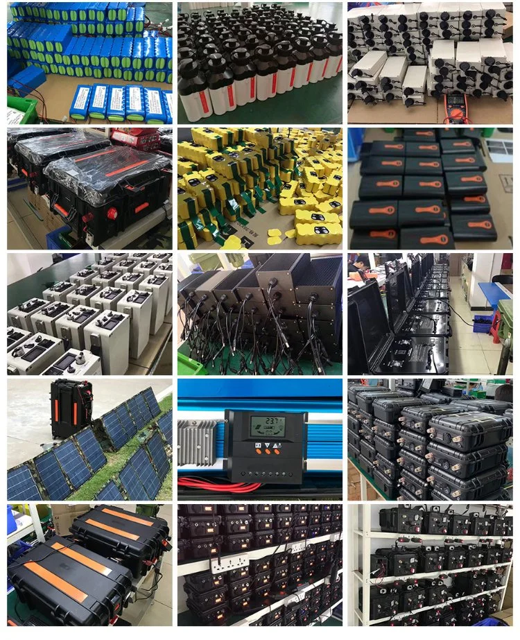 Customized High Capacity Lithium in Battery Pack 12V 40ah 60ah 80ah 100ah LiFePO4 Battery for EV/UPS