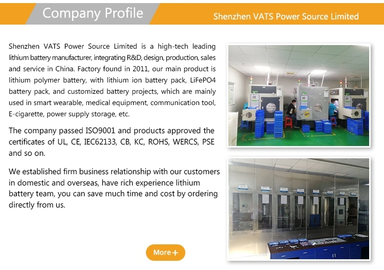 OEM Factory Customize 12V LiFePO4 Storage Battery 12.8V 10ah 12ah with ABS Case for Solar System/E-Bike/Bicycle/Scooter/Golf Trolley