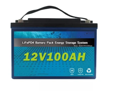 米国でのホット販売 12V 24V 20ah 40ah 60ah 100ah 200ah LiFePO4 バッテリー BMS 充電器家庭用ソーラーシステム