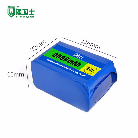 LWS バッテリー 22V 24V 48V 72V 20ah LiFePO4 12V リチウムイオン AC